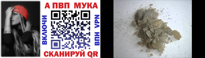 A PVP СК КРИС  Николаевск-на-Амуре 