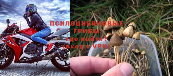 СК Алексин