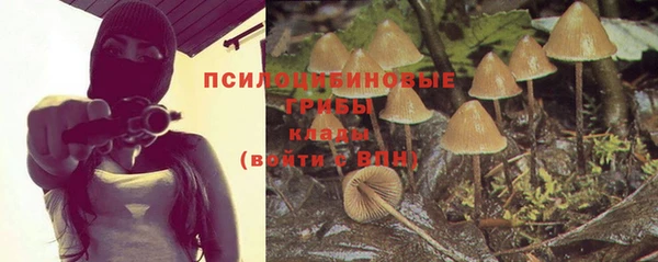 героин Алзамай