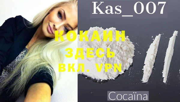 СК Алексин
